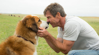 Here's Who Will Be in the Dog Movie Sequel We Definitely Do Not Need